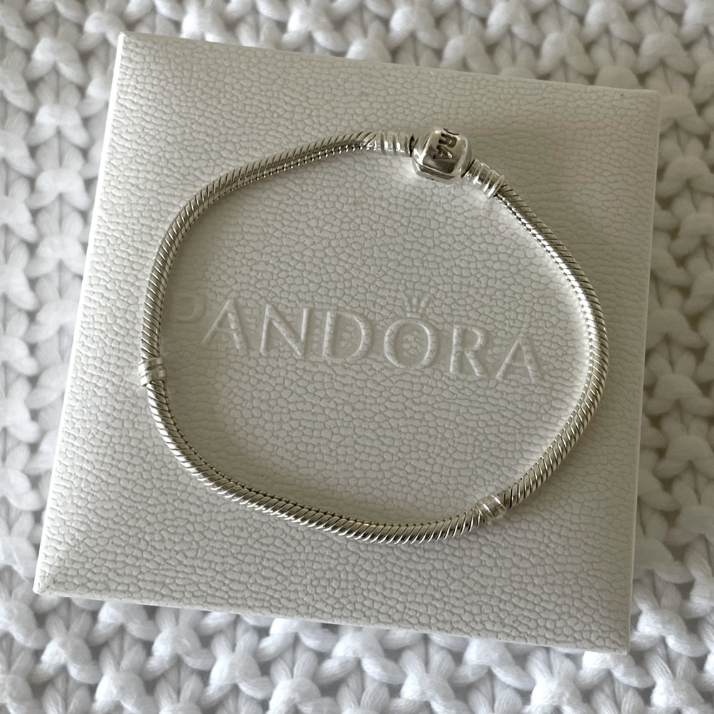 Pandora Moments Sterling Silver bracelet